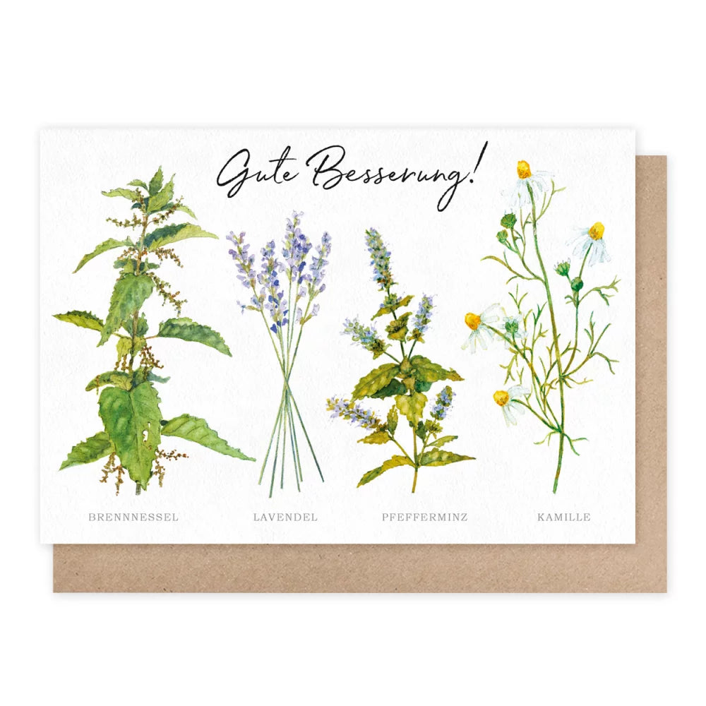 Klappkarte Heilkräuter - Gute Besserung