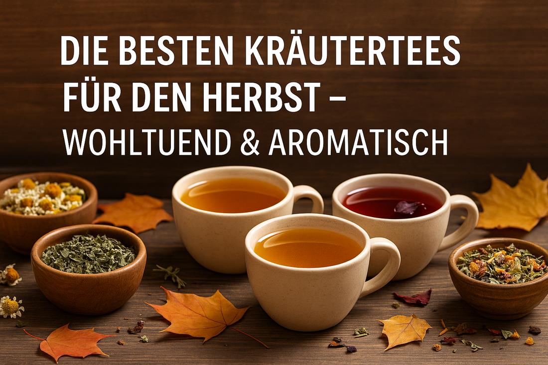 Die besten Kräutertees für den Herbst – wohltuend & aromatisch