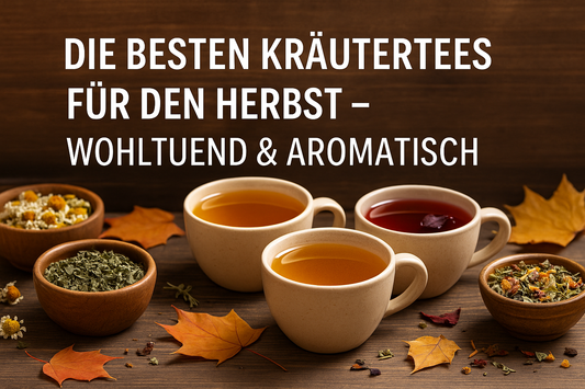 Die besten Kräutertees für den Herbst – wohltuend & aromatisch