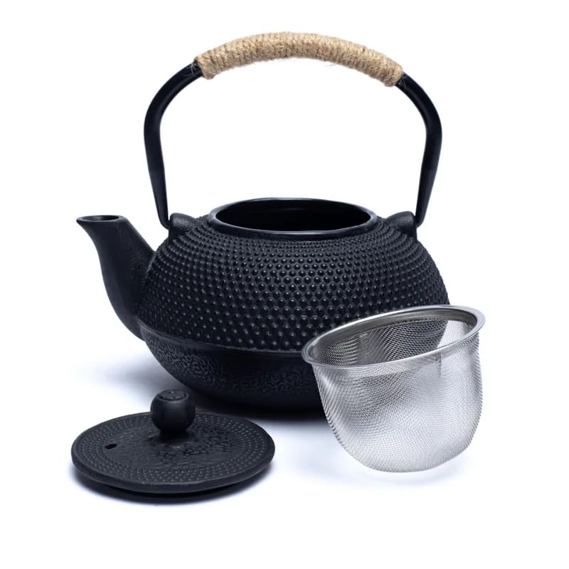 Tetsukyusu emaillierte Teekanne im japan. Stil