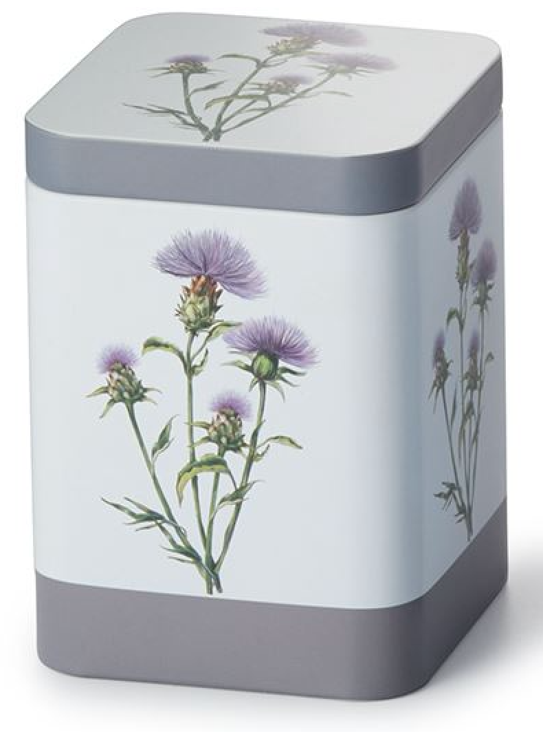 Dose "Cardo", 100 g